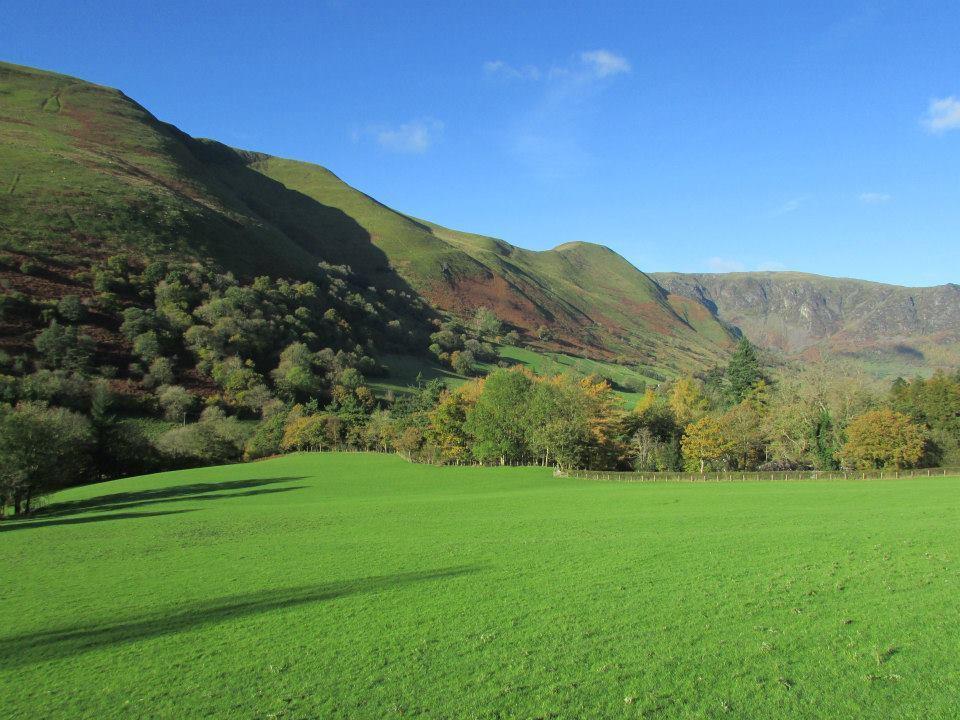 Bryn Sion Farm Vila Dinas Mawddwy Exterior foto